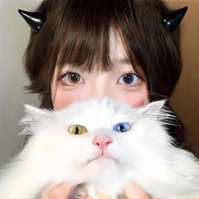 天线宝宝(重启版)